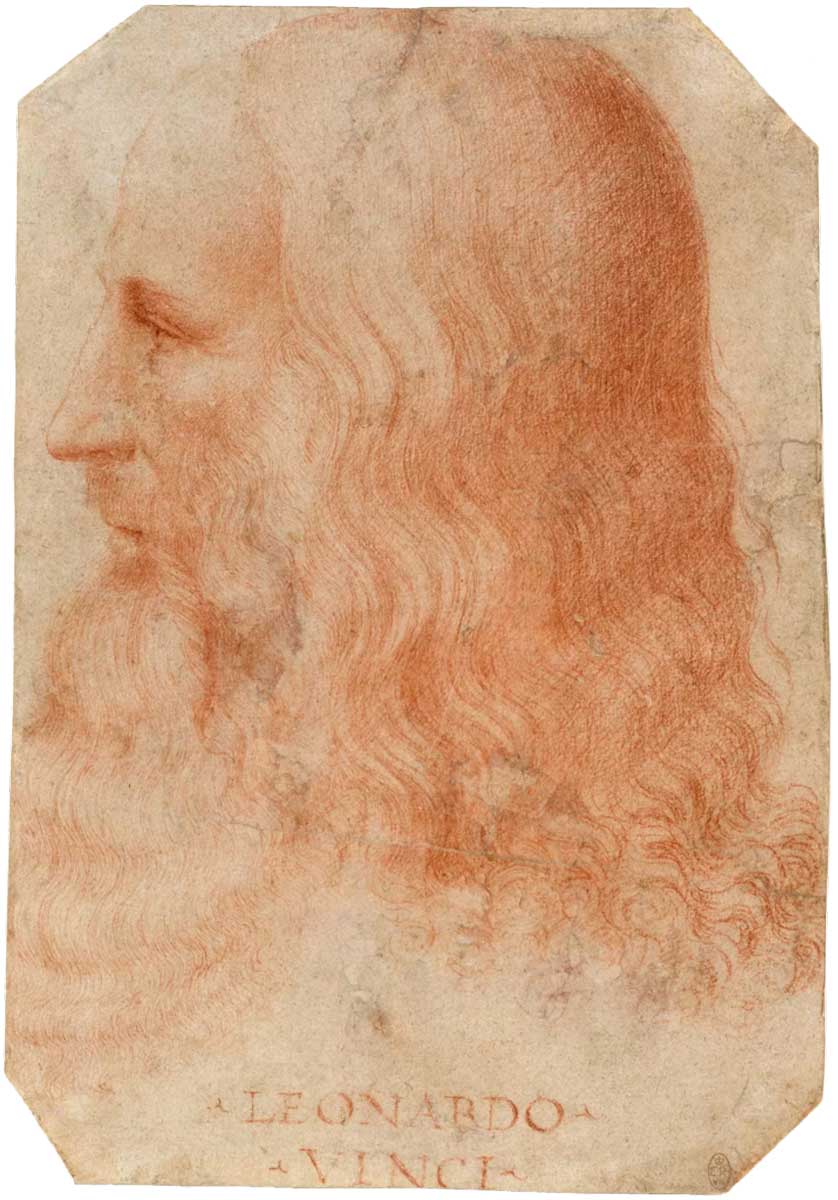 leonardo side view drawing