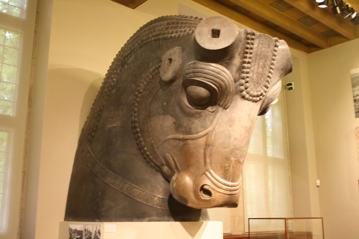 limestone bull head persepolis museum iran