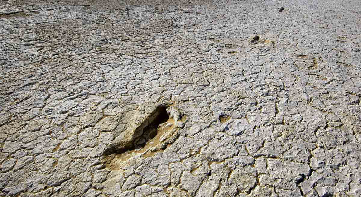 mungo man footprint mould