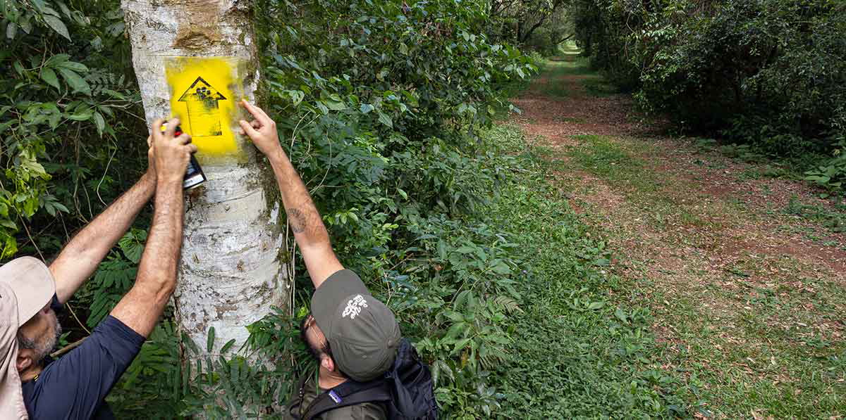 peabiru trail recover signs