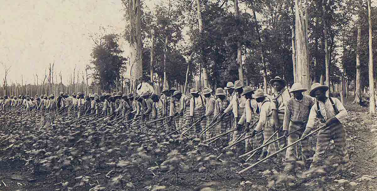 penal farm black codes