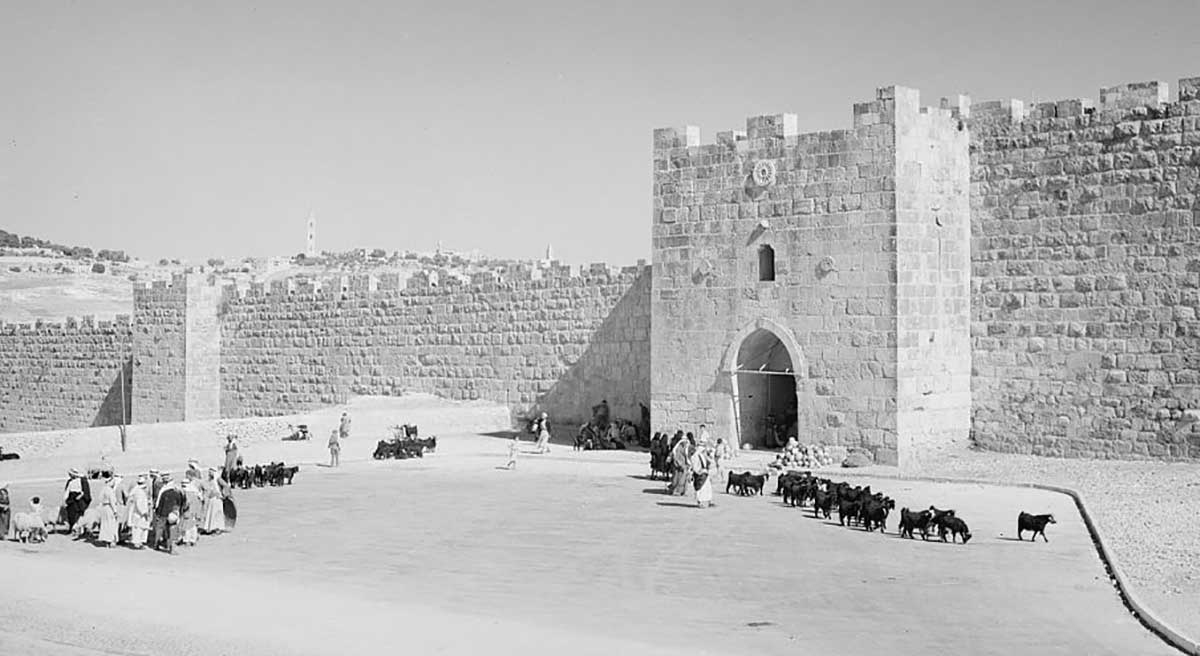 photograph herod gate