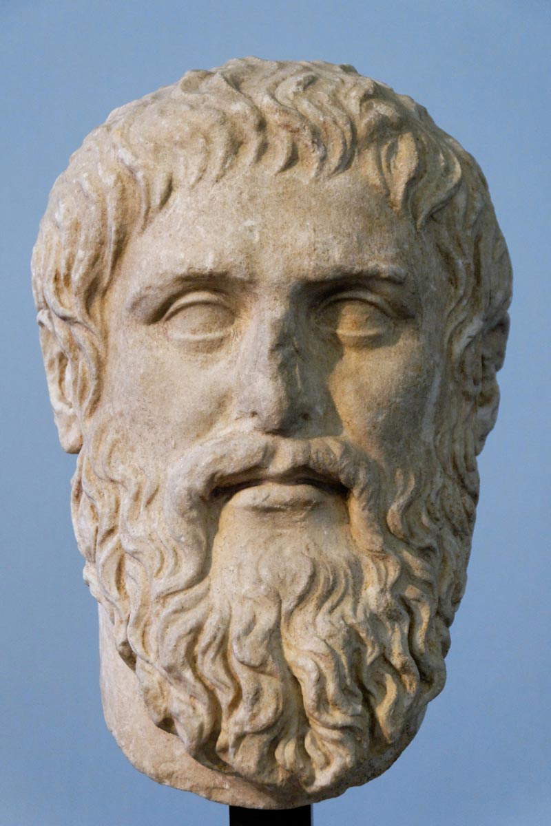 plato head