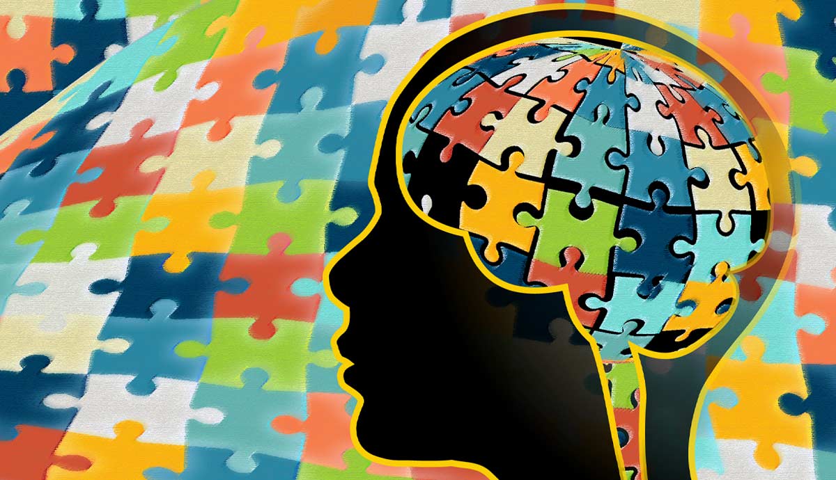 puzzle mastering rules of logic