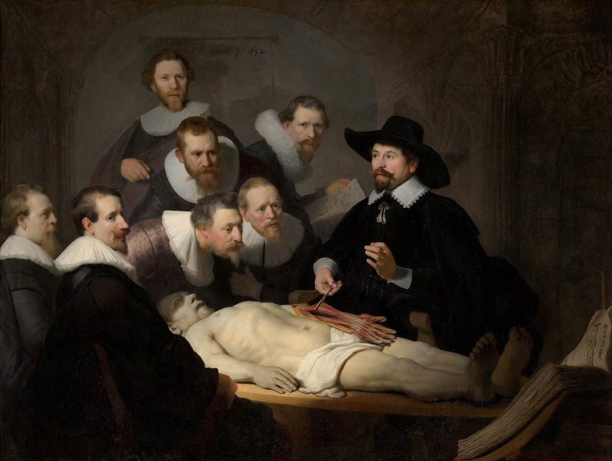 rembrandt anatomy lesson painting