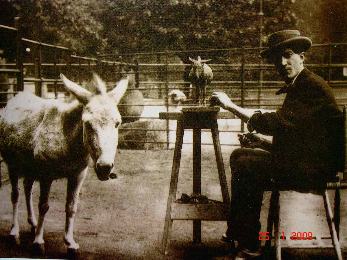 rembrandt bugatti donkey photo