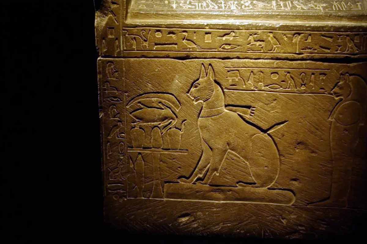 sarcophagus ta miu