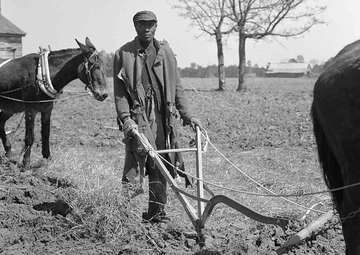 sharecropper in field black codes