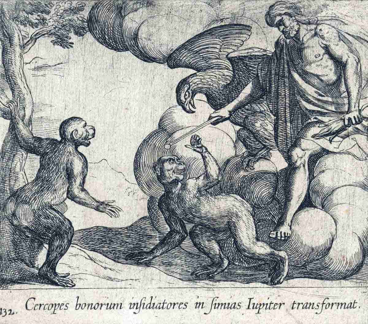 tempesta jupiter transforming cercopes etching