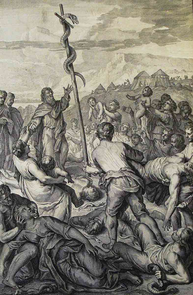 the fiery serpent