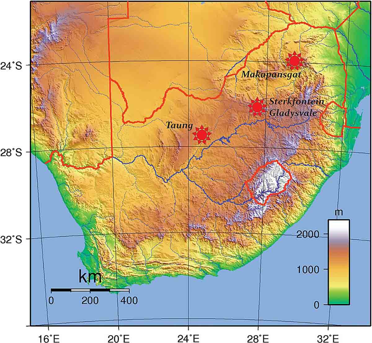 Africanus south africa