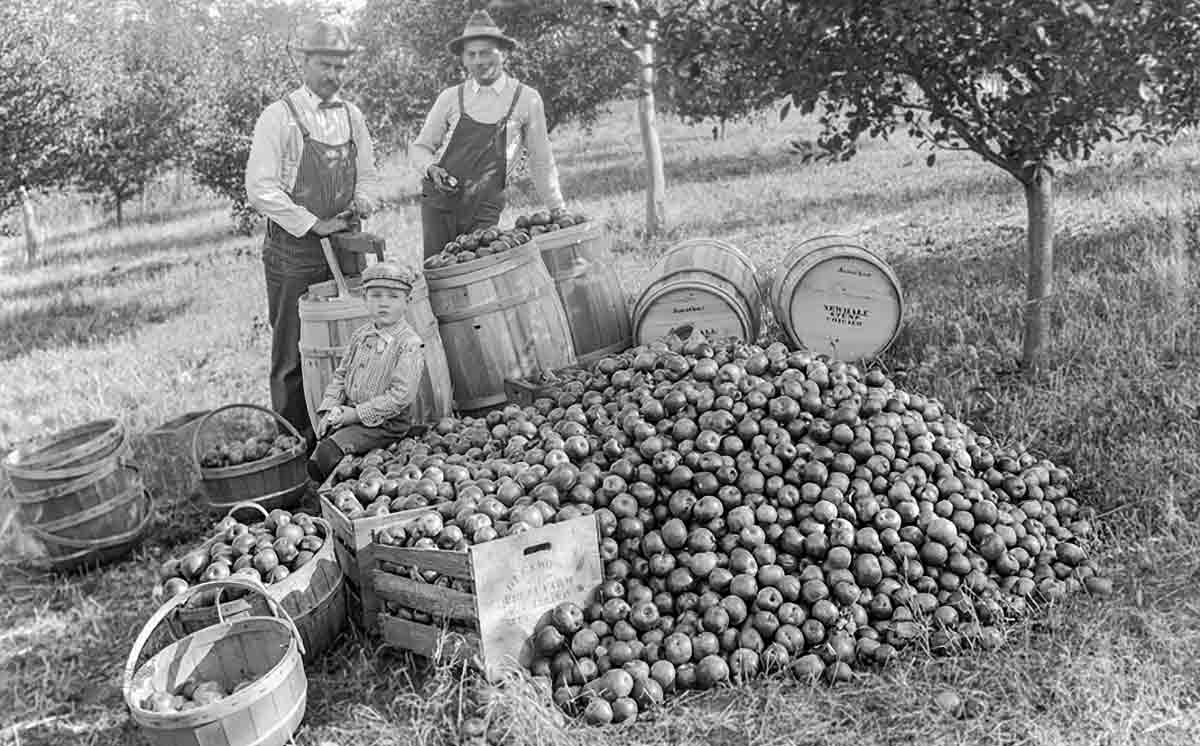 Apple Barrel Historic Photo