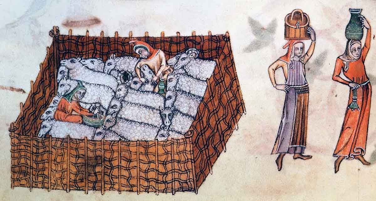 Sheep farming serfdom