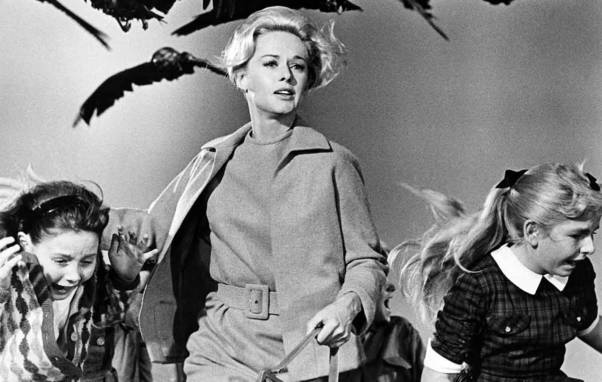 alfred hitchcock movies birds