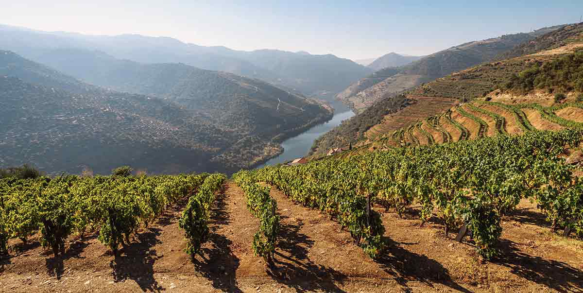 alto douro wine region