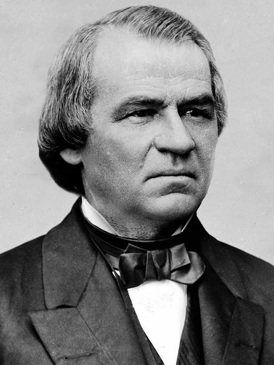 andrew johnson pres portrait