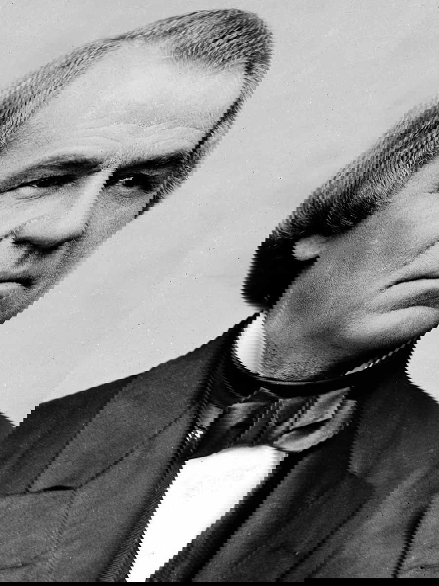 andrew johnson pres portrait