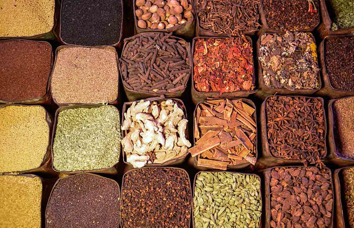 asian spices photo