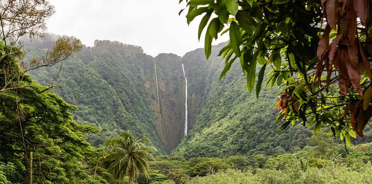 big island hawaii pidgin
