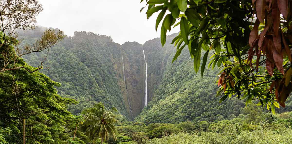 big island hawaii pidgin