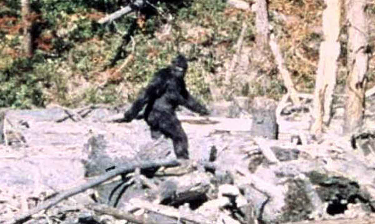 bigfoot patterson gimlin cryptids