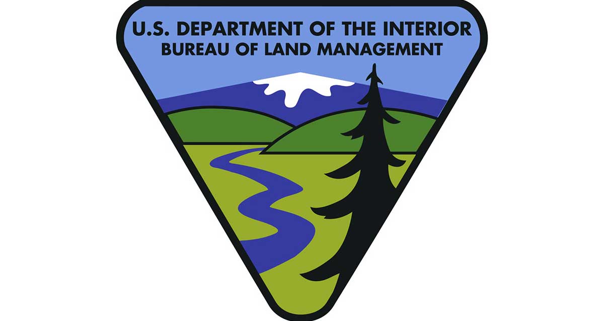 blm logo design