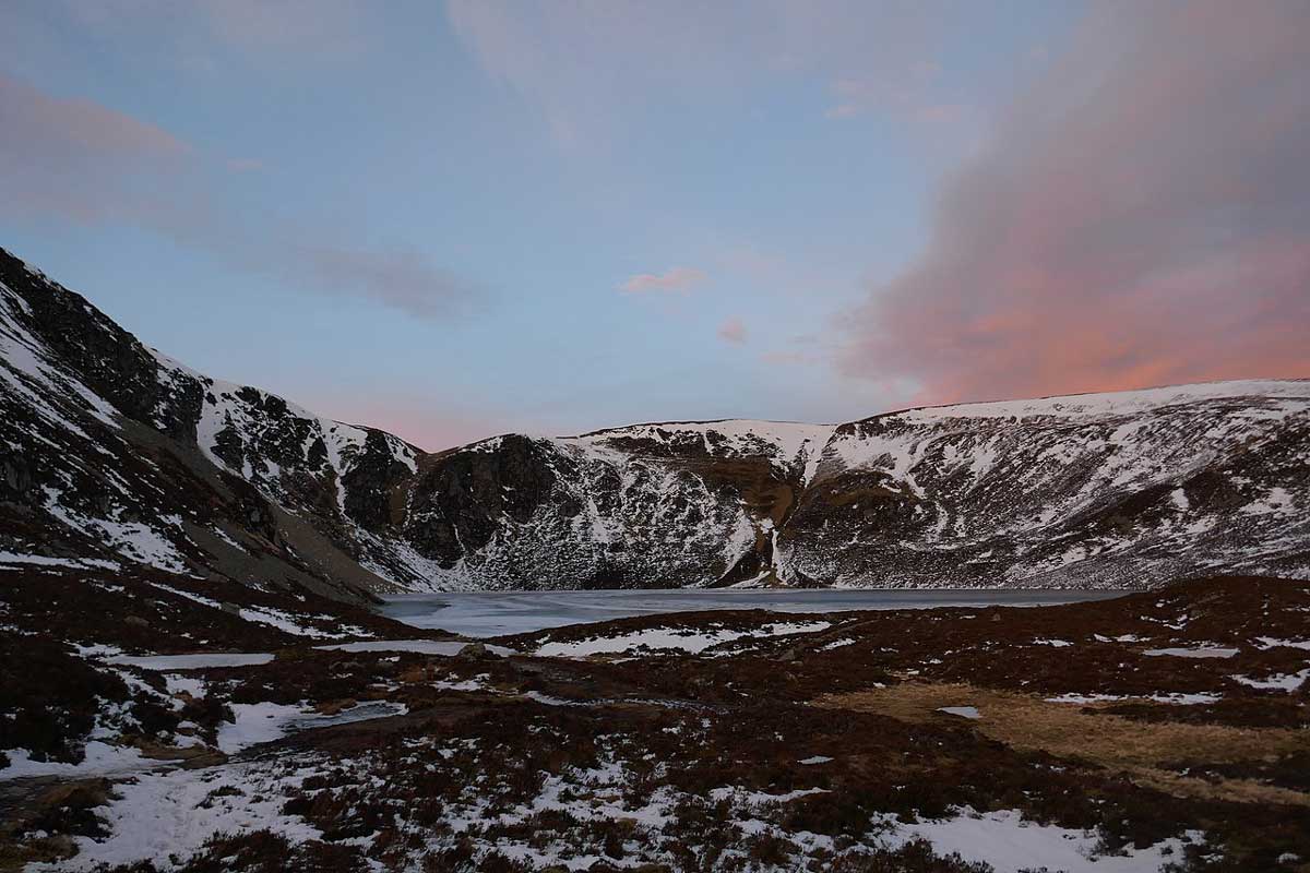 cairngorms nan shepherd