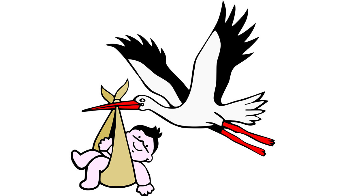 cartoon stork with baby