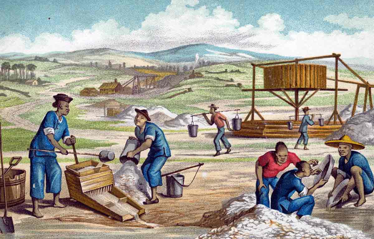 chinese workers goldfields