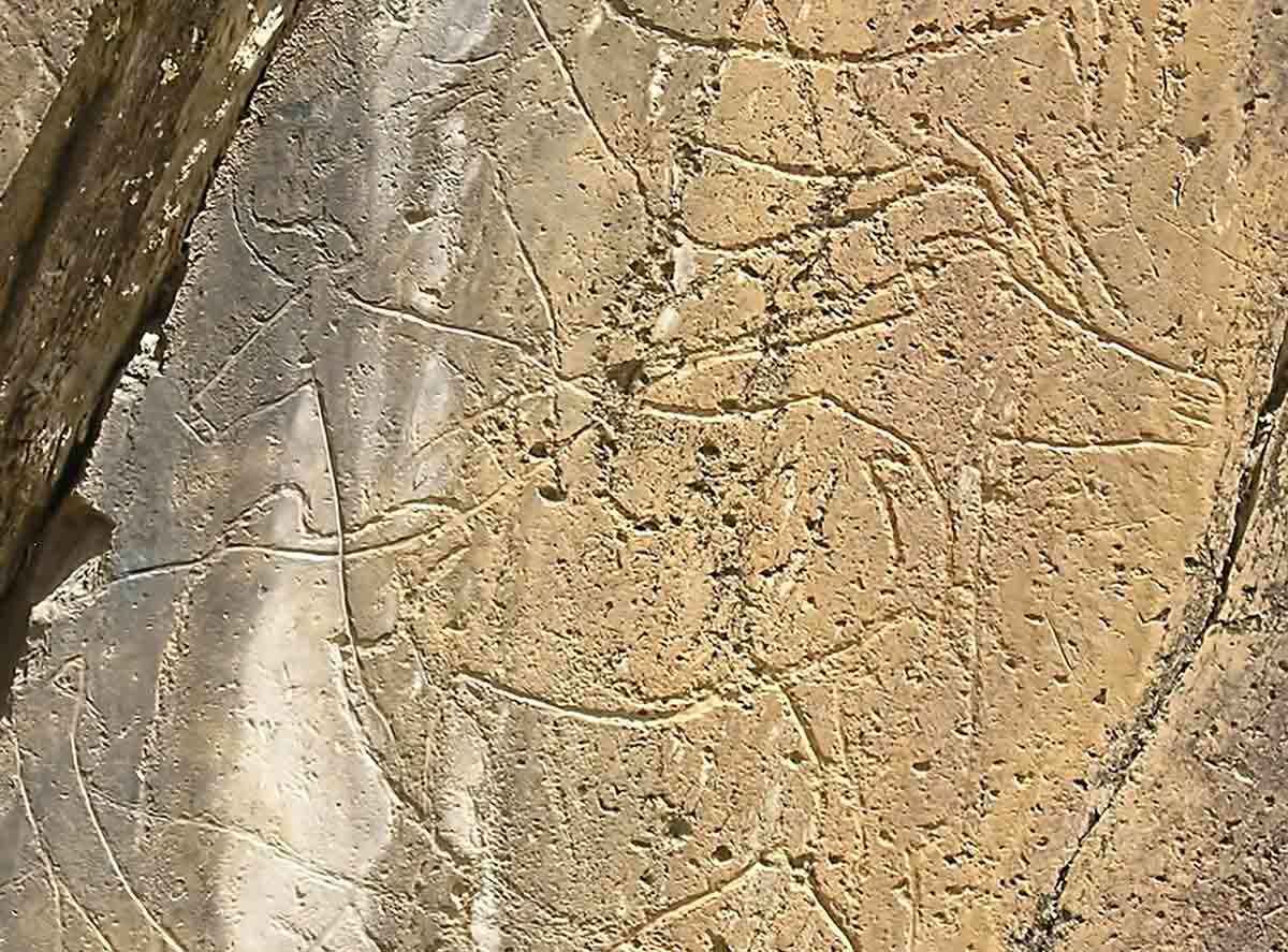 coa valley rock art