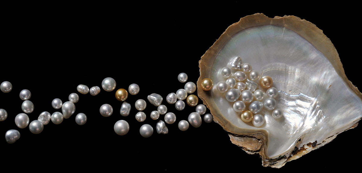 cygnet bay pearls