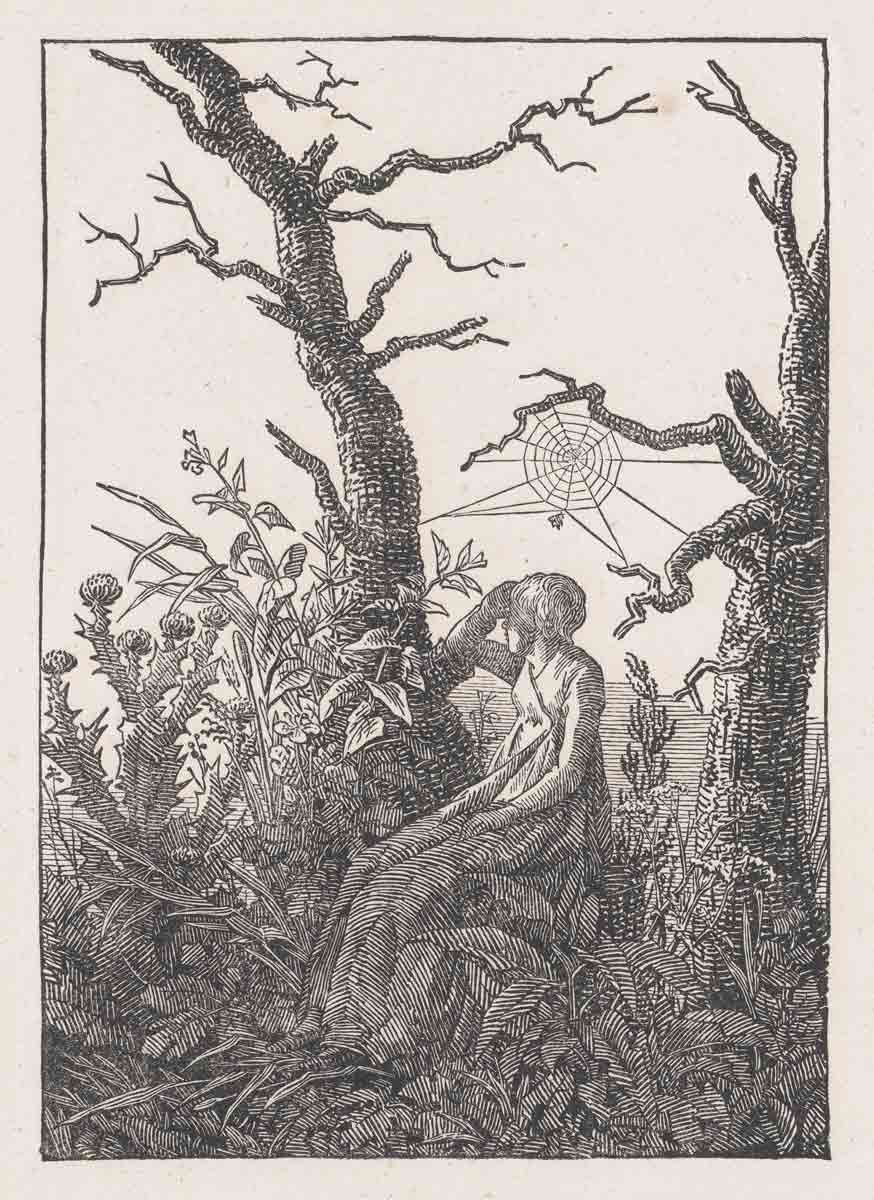 friedrich spider print