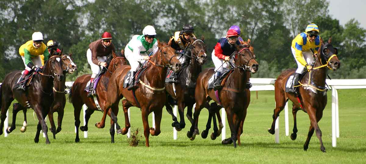 horse racing field jockeys