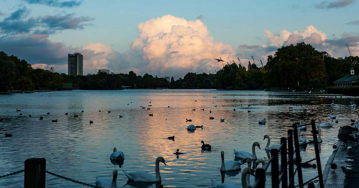 hyde park london lake