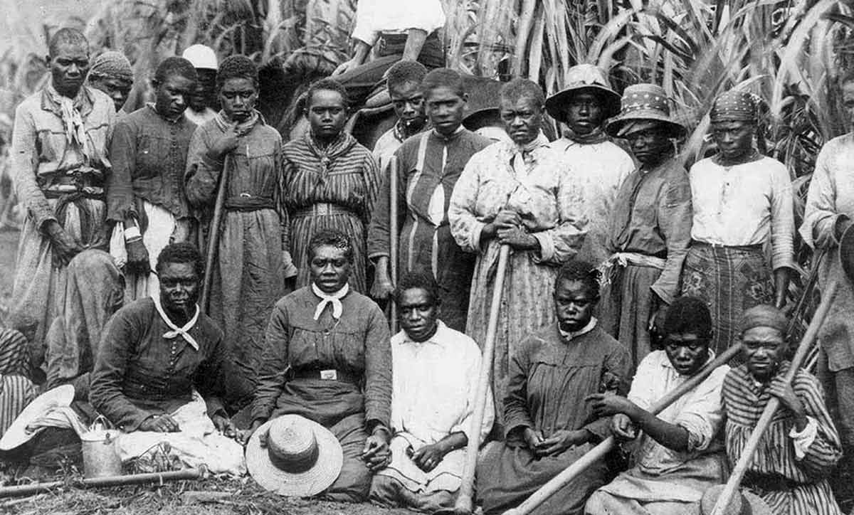 islander labourers blackbirding white australia policy