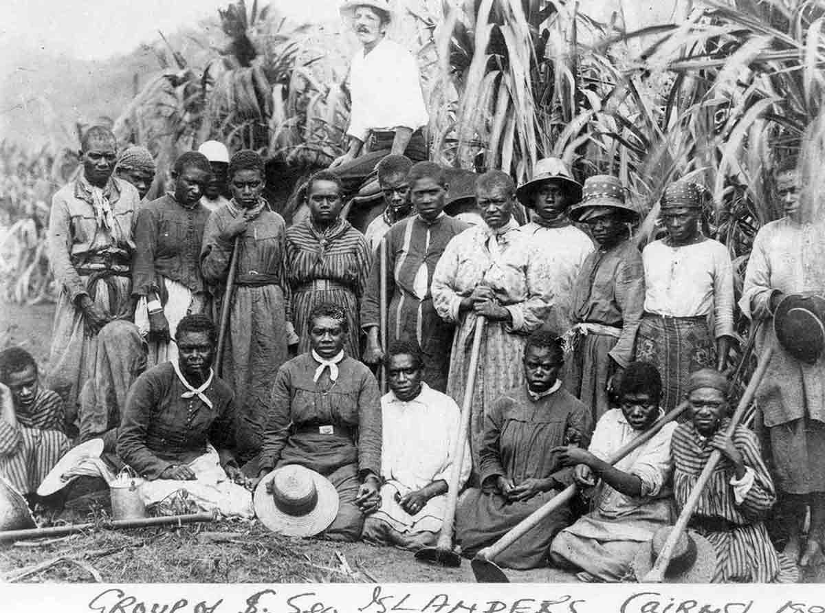 islander labourers blackbirding