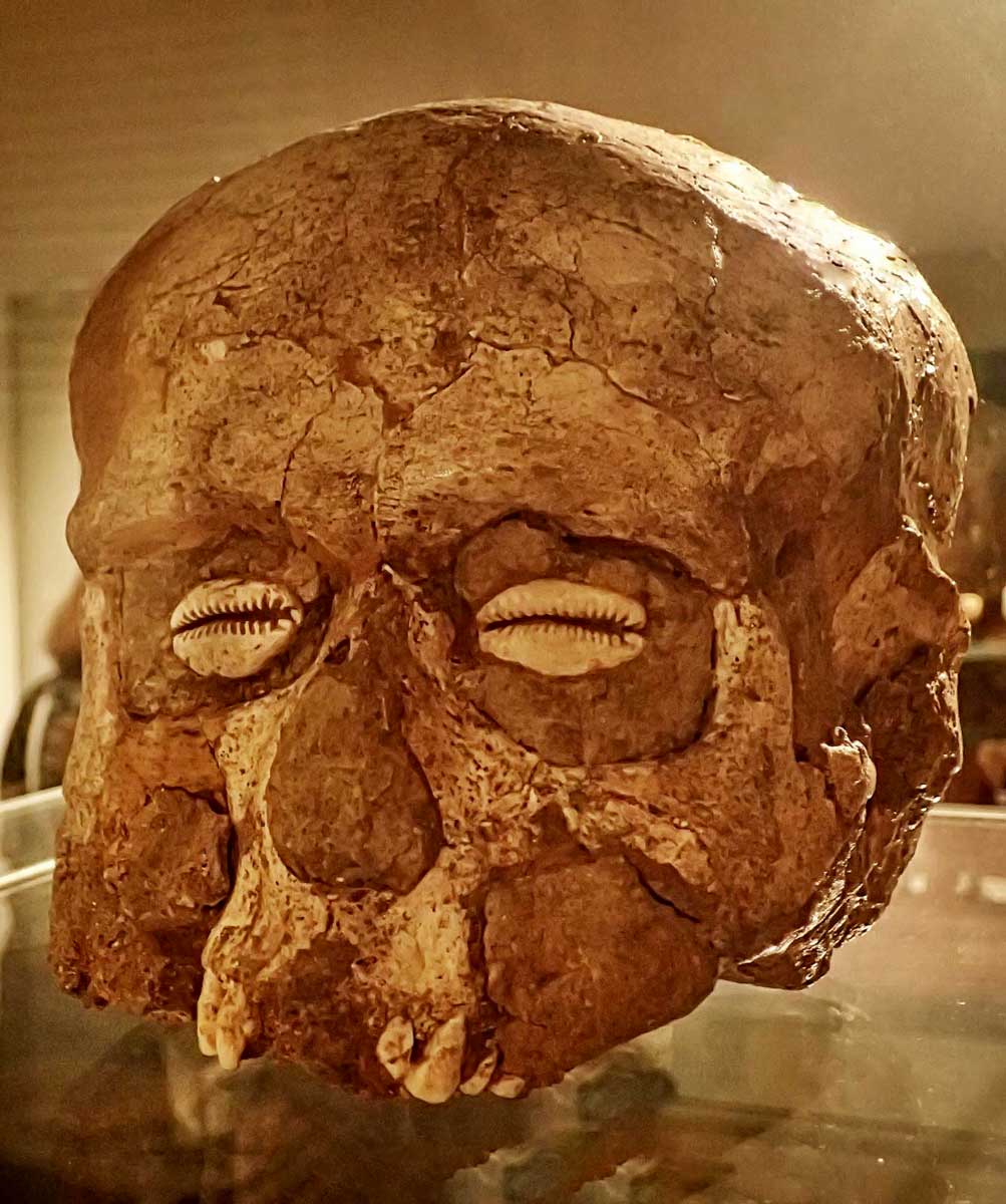 A plastered skull from Jericho 