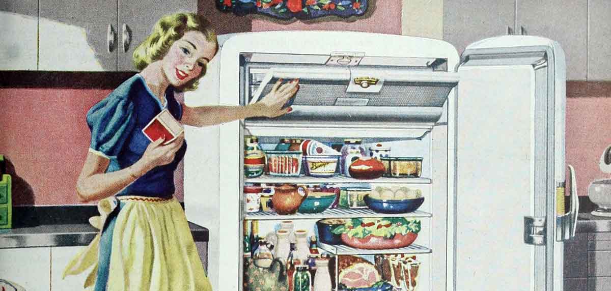 ladies home journal 1948