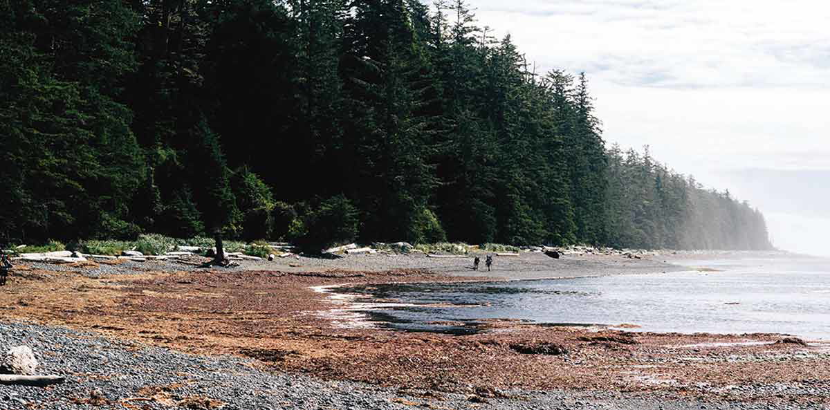 nootka sound shore