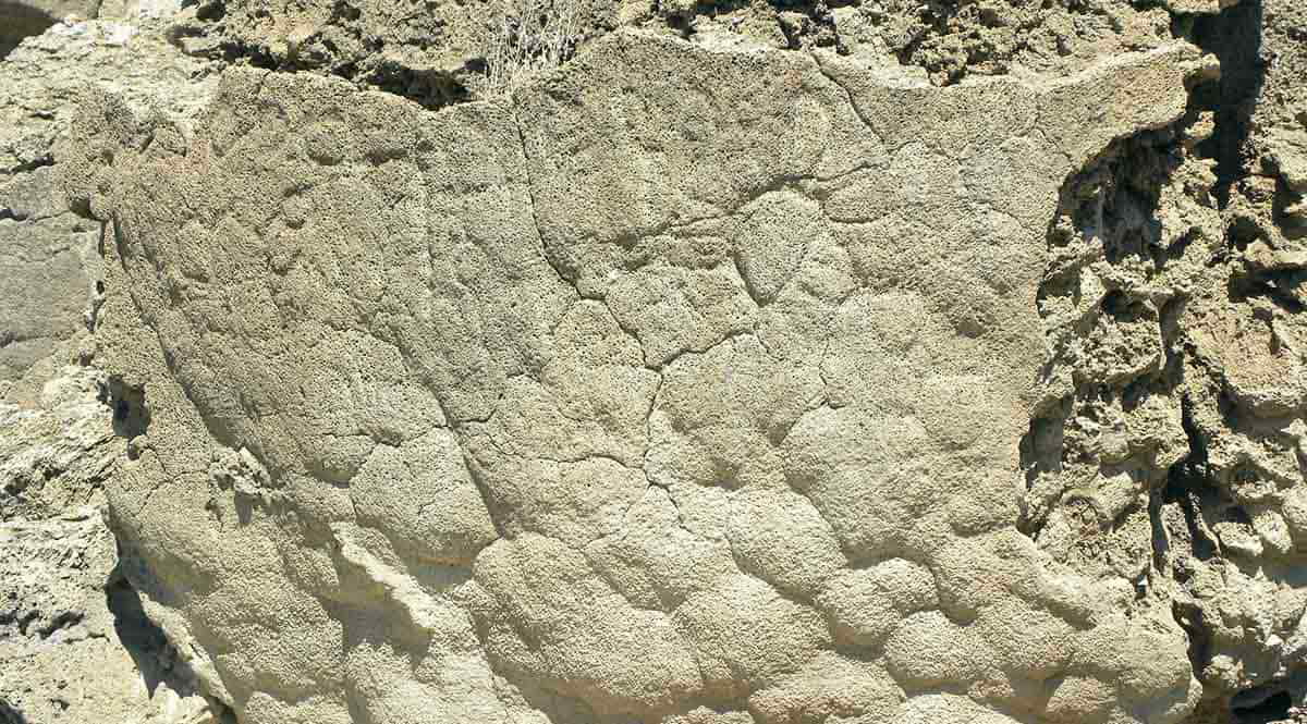 petroglyphs nevada winnemucca