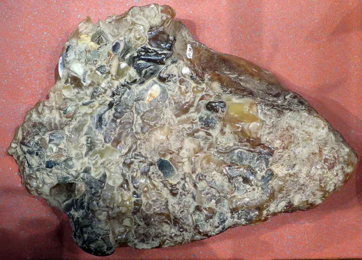 preserved ambergris specimen