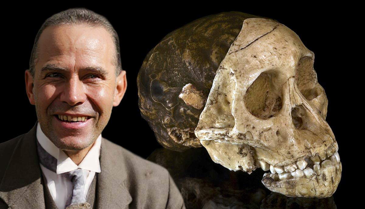 The Discovery of Australopithecus Africanus by Raymond Dart That Changed History