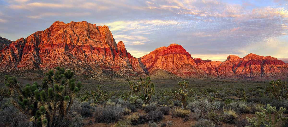 red rock canyon