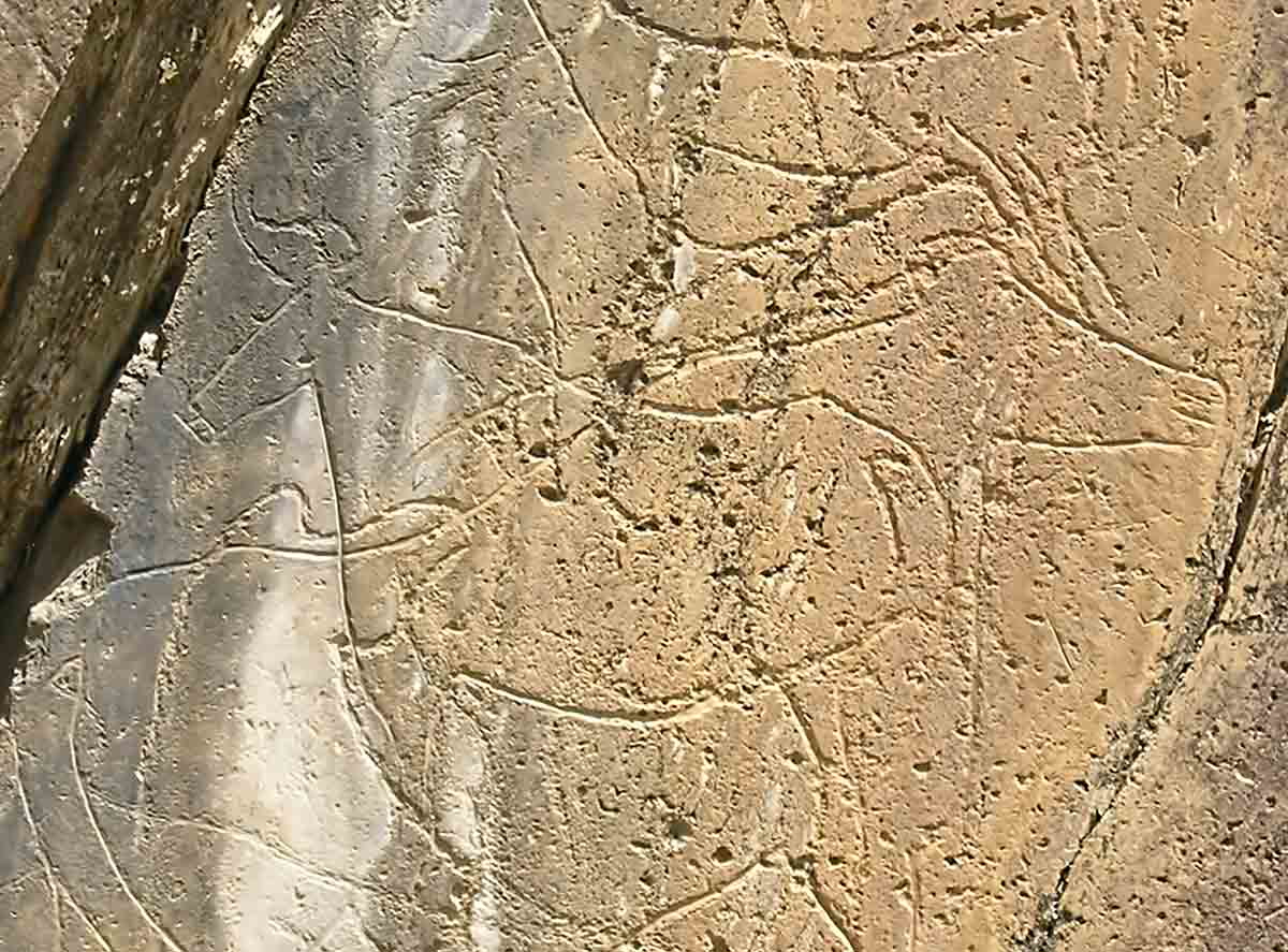 rock art coa valley portugal unesco