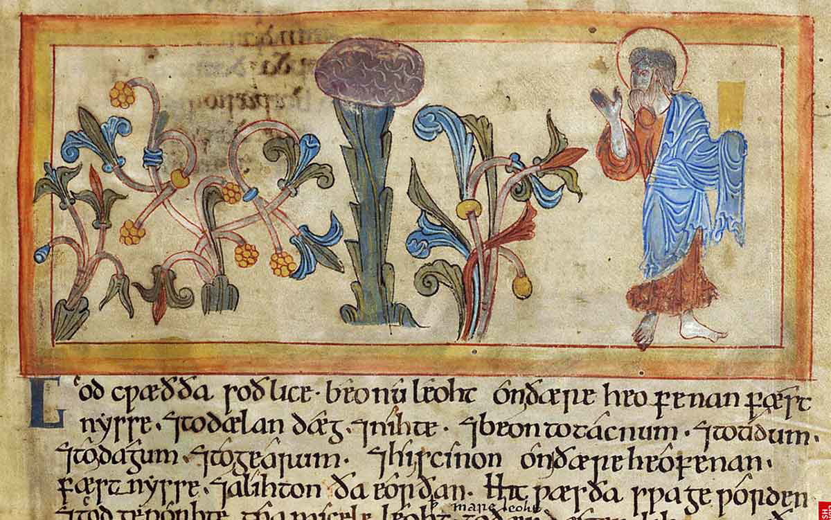 romanesque manuscript god creating plants and trees