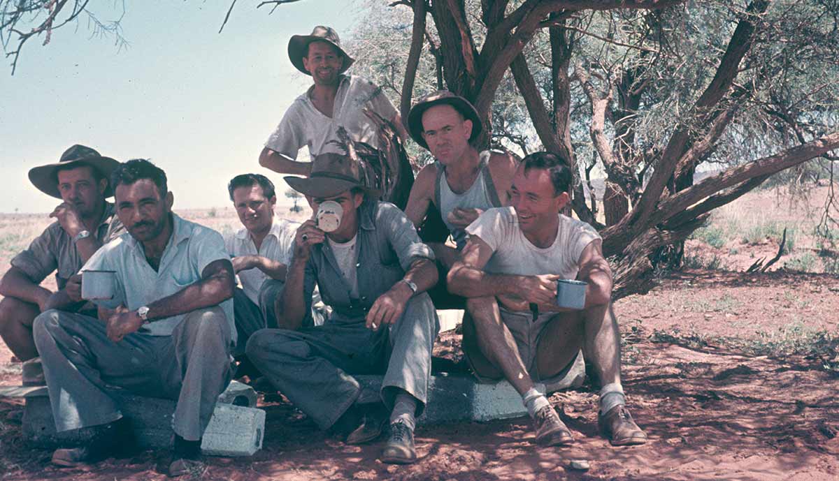 surveyors australia alice