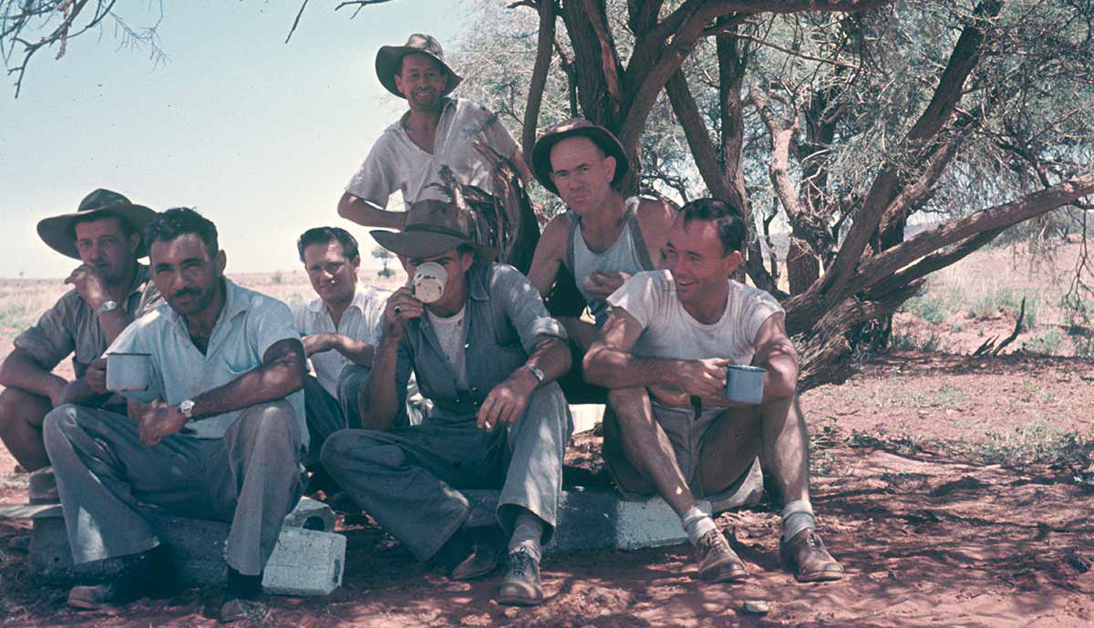 surveyors australia alice