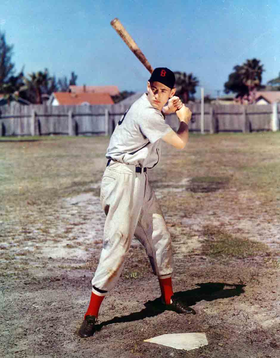 ted williams national portrait gallery