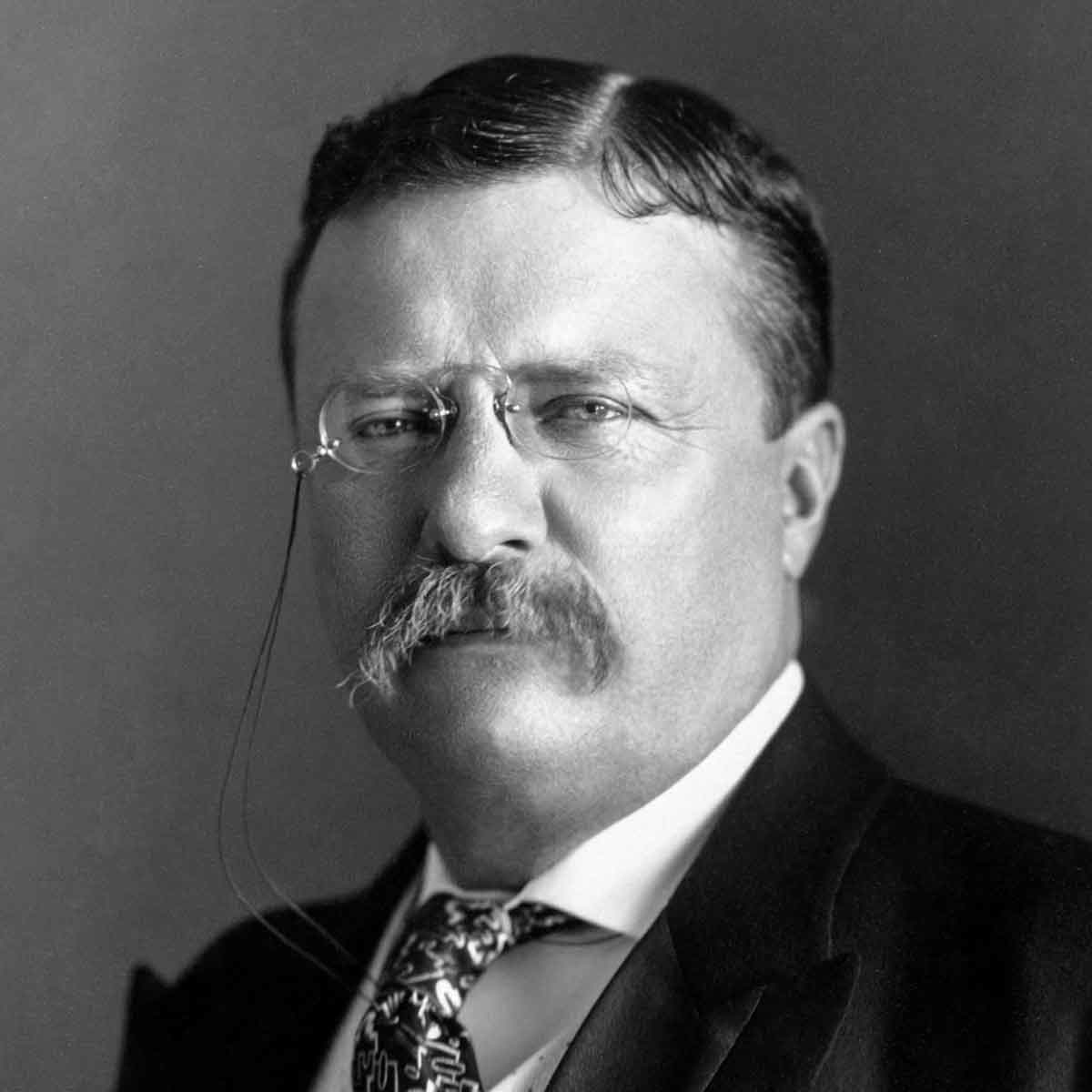 theodore roosevelt photo