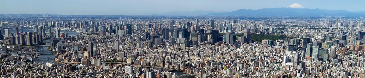 tokyo panorama 2014